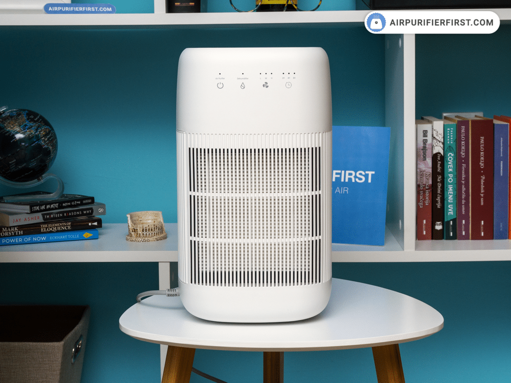 Afloia Q10 Air Purifier and Dehumidifier - Review