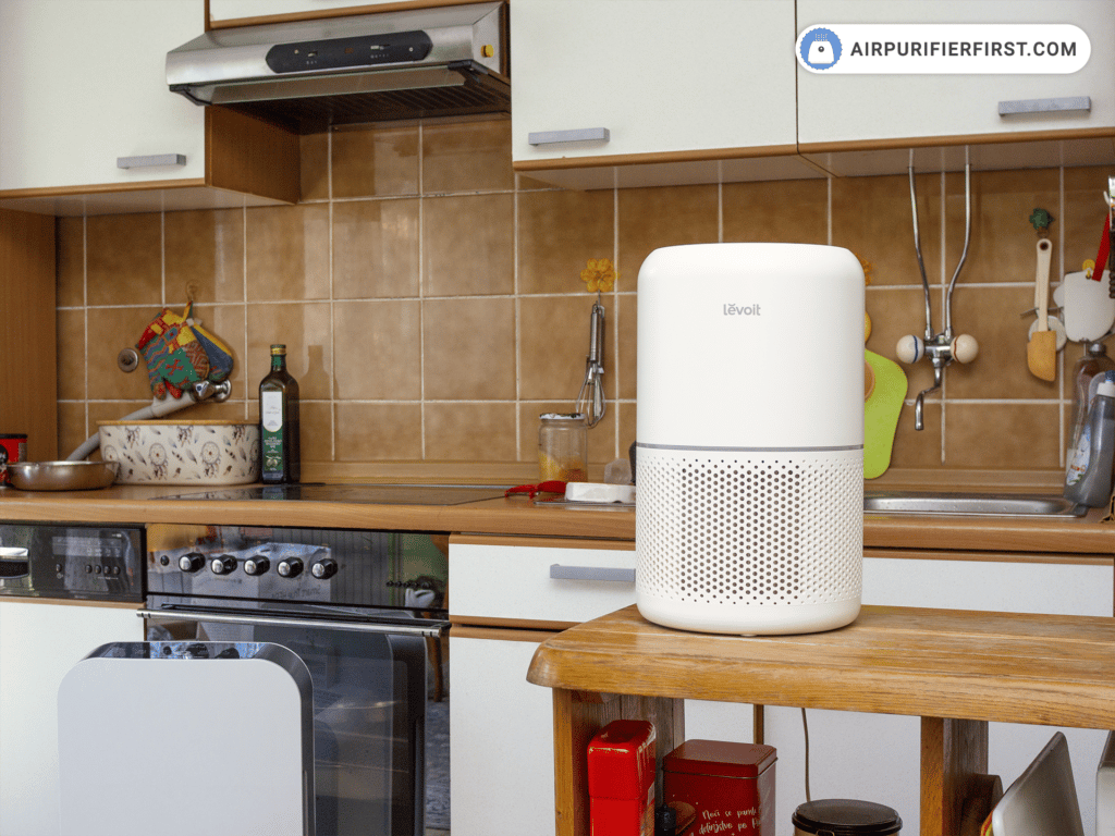 Best Air Purifiers For Kitchen Odors