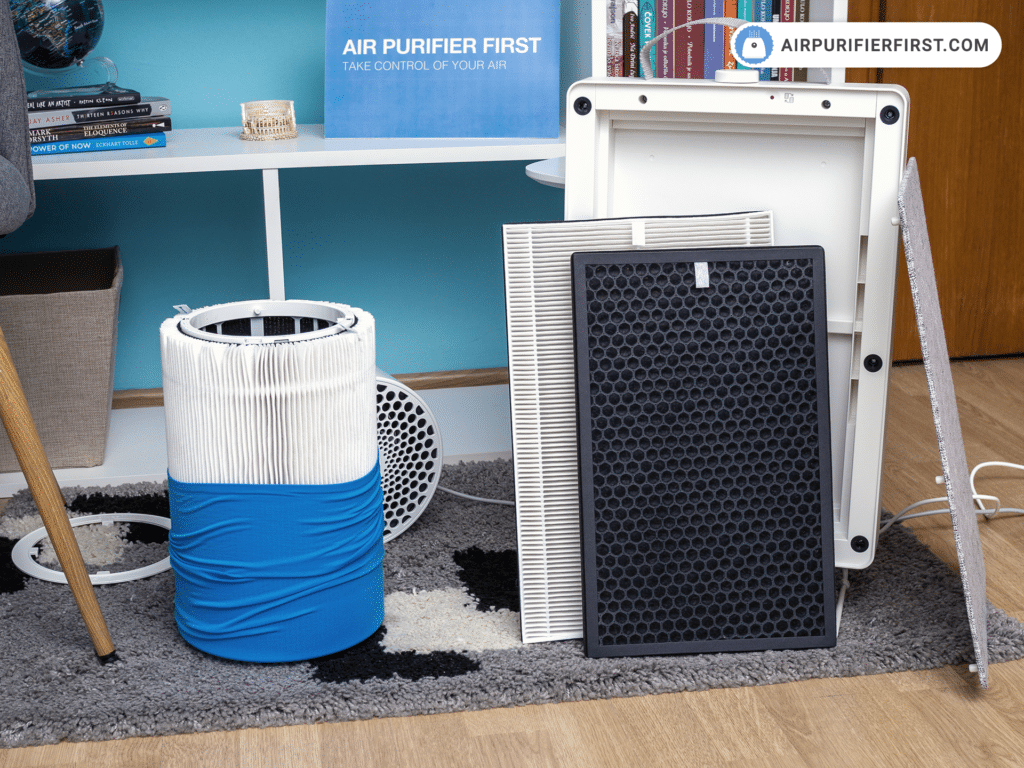 Blueair 411 Vs IKEA FORNUFTIG - Filtration Technology