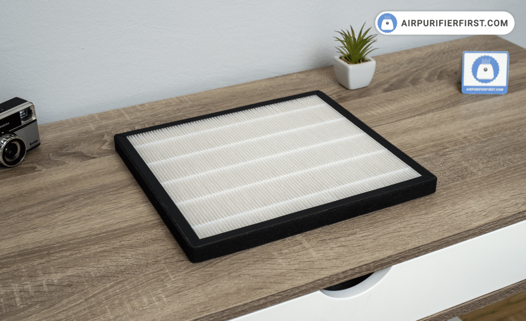 Hathaspace HSP001 - True HEPA filter