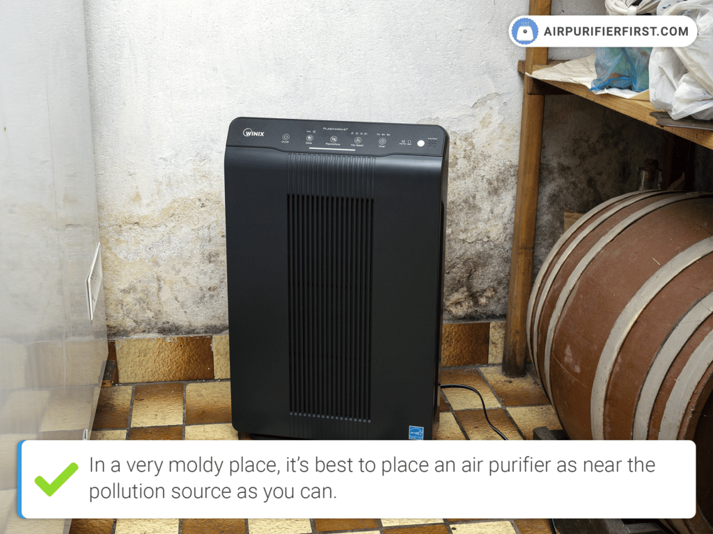 I placed an air purifier near the moldy wall
