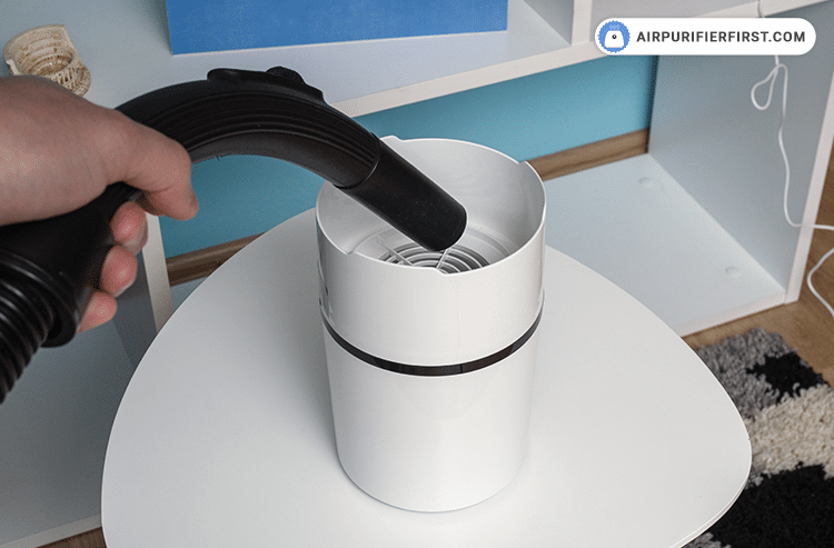 Now is a good time to vacuum inside the box where the filter is located or simply wipe off any dust with a cloth.