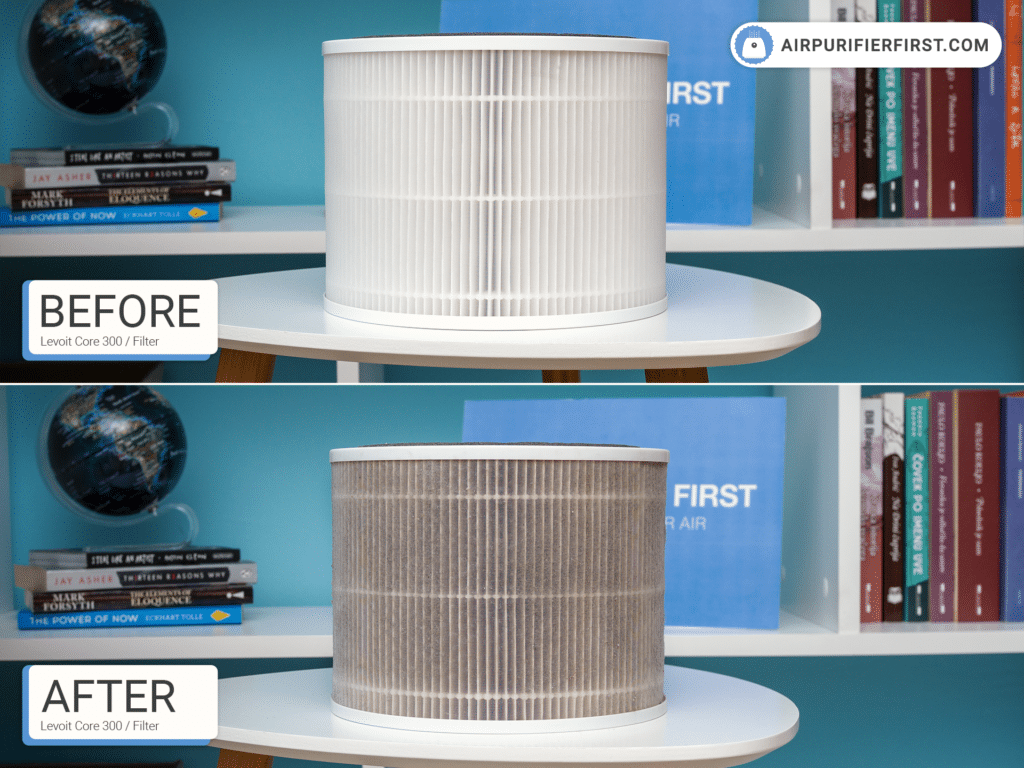 Levoit Core 300 Air Purifier Filter - Before and After